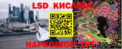 ГАЛЛЮЦИНОГЕННЫЕ ГРИБЫ Дубна