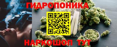 ГАЛЛЮЦИНОГЕННЫЕ ГРИБЫ Дубна