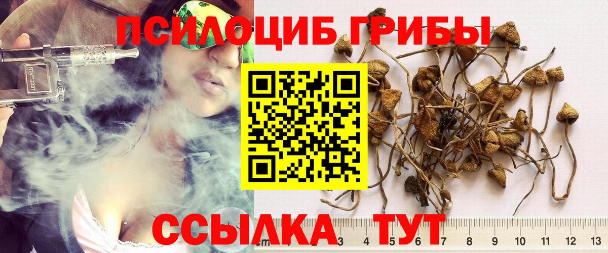 Галлюциногенные грибы Psilocybe  Вход с VPN  где найти наркотики  Мариинск  Галлюциногенные грибы GOLDEN TEACHER 