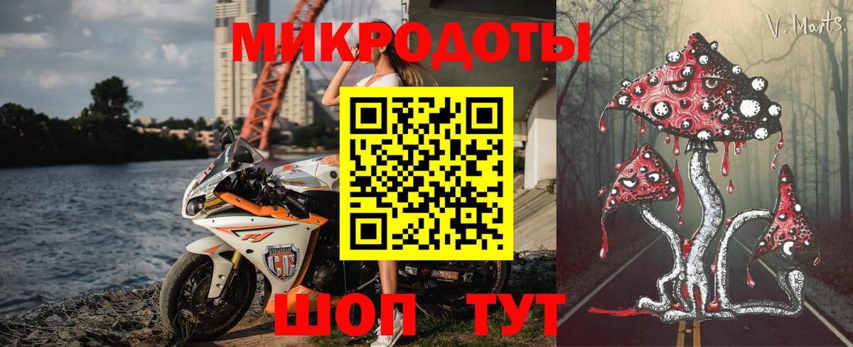 Псилоцибиновые грибы мицелий Мариинск